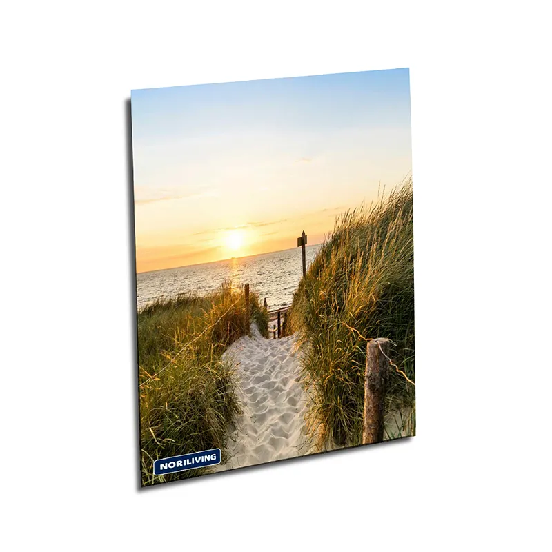 Muster Duschrückwand Dünenweg zum Strand bei Sonnenuntergang 896